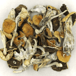 Full Moon Party | Shroom Gummies Canada