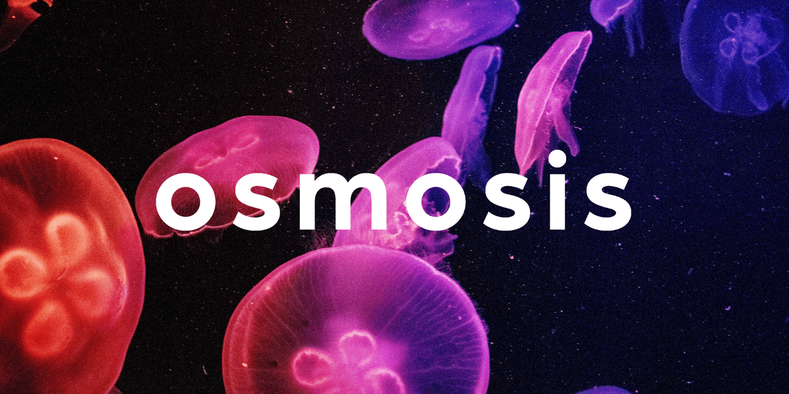 Zoomies osmosis banner | Shroom Gummies Canada