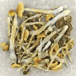 Trinity | Shroom Gummies Canada