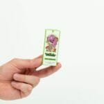 Wonder – Psilocybin Chocolate Bar – Dark Chocolate | Shroom Gummies Canada