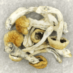 Chitwan Nepal | Shroom Gummies Canada