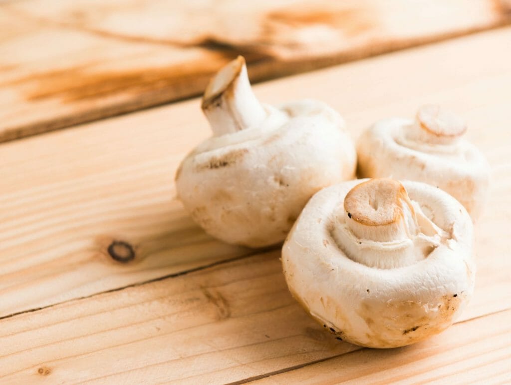 Buy Shrooms Online at Shroom Gummies Canada