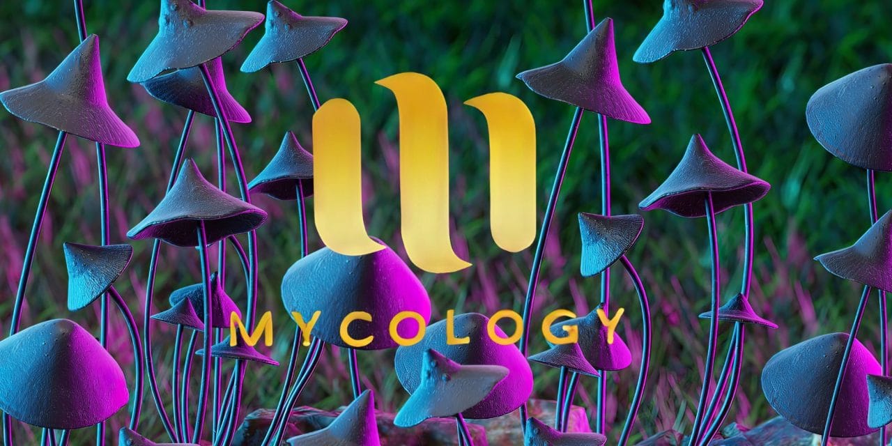 Zoomies Summer 2023 Banner - Mycology | Shroom Gummies Canada