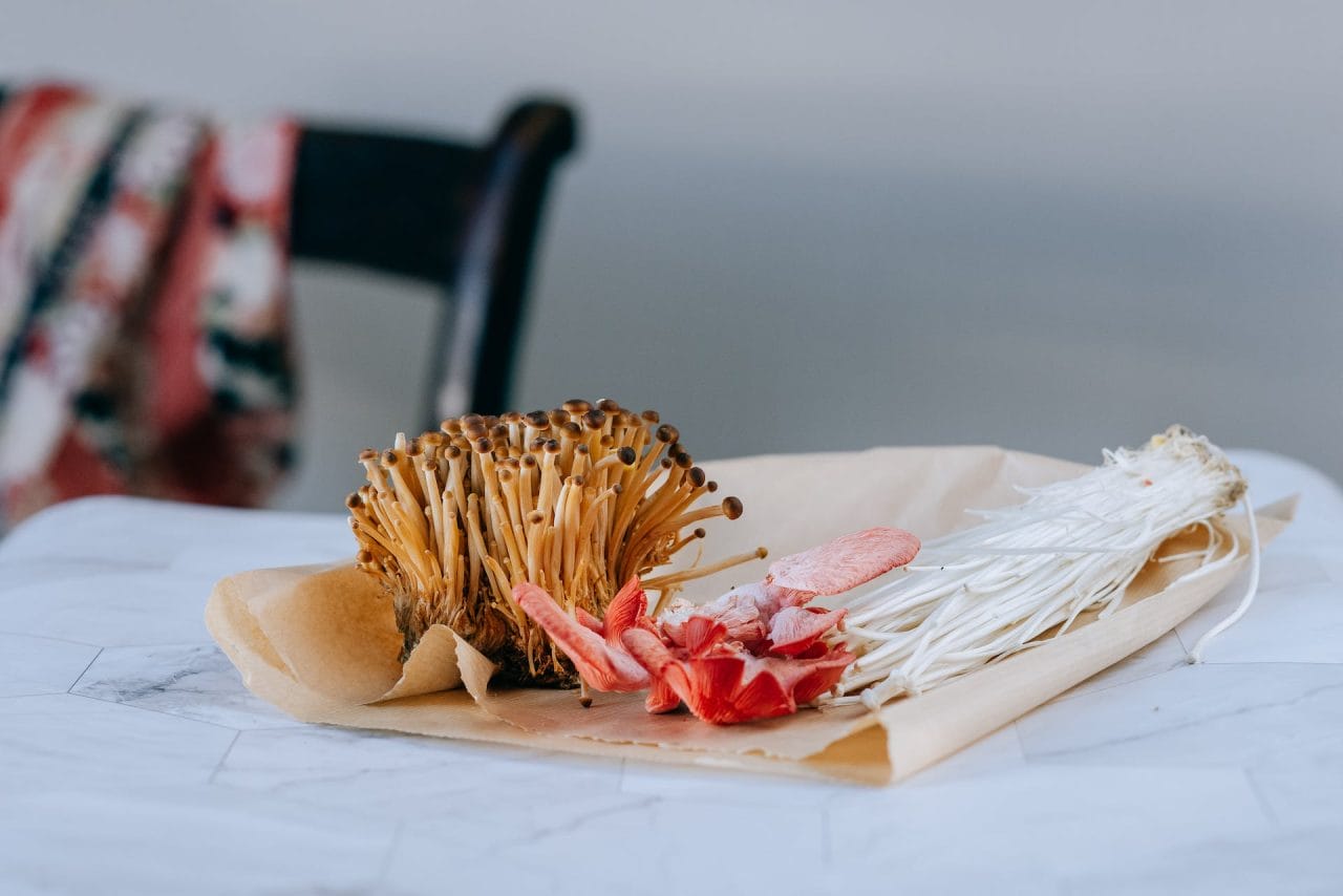 Purchase Mushrooms Online in Canada for Festive Season Mushroom Recipes