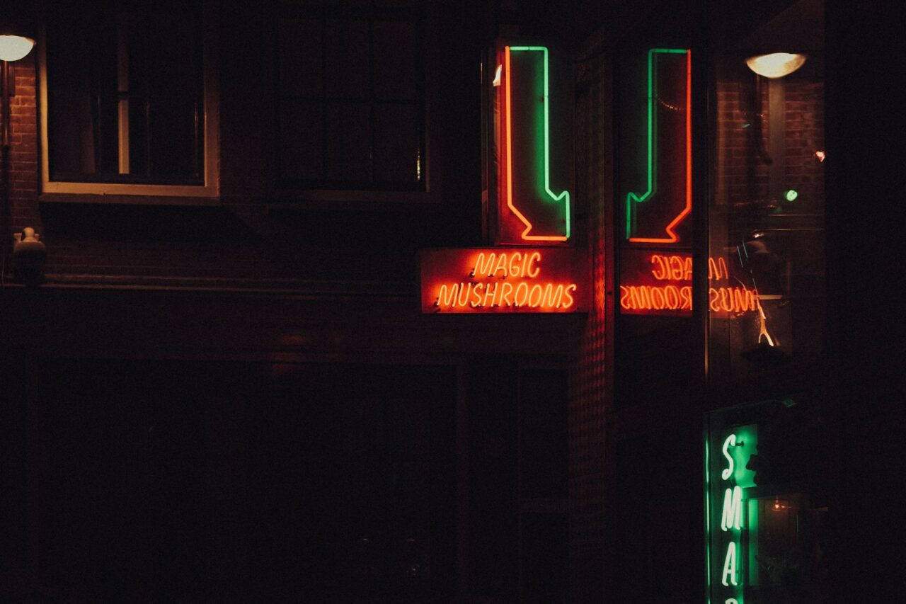 Vancouver’s Mushroom Dispensary – How is Canada Keeping Pace with the Mushroom Surge in the US?